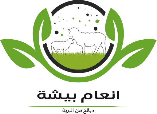 متجر انعام بيشة تطوير اتقان